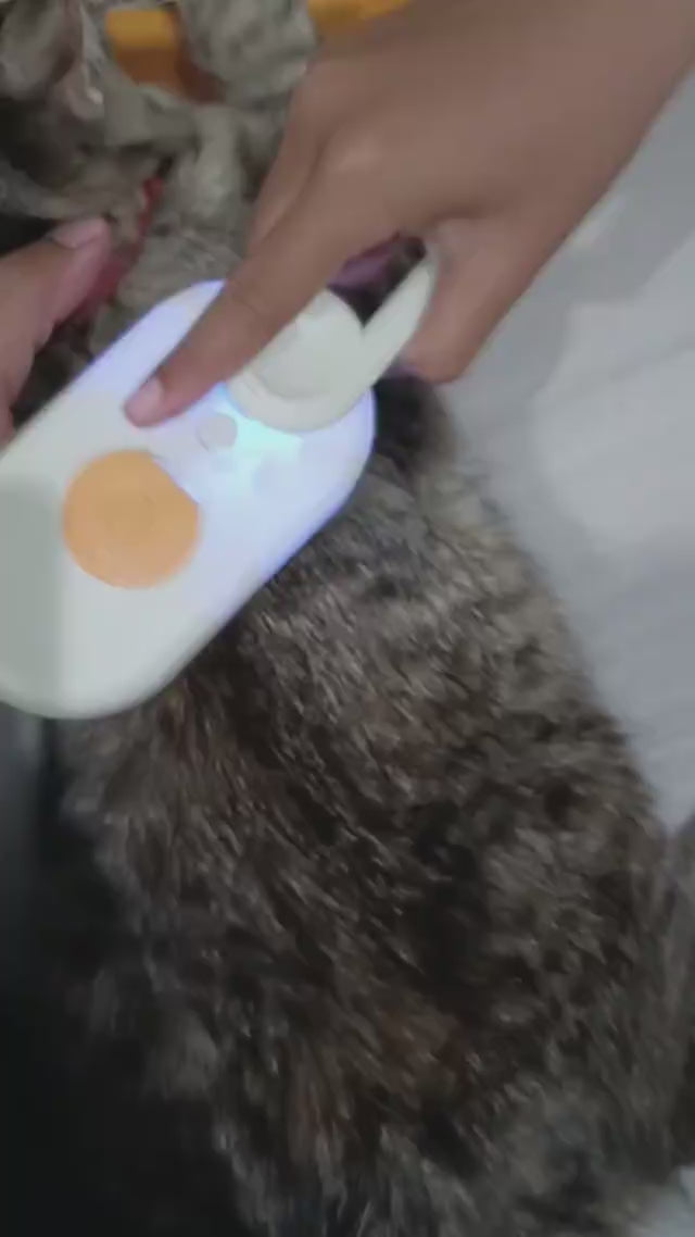 Pet Grooming Comb - Gentle Massage & Loose Hair Remover